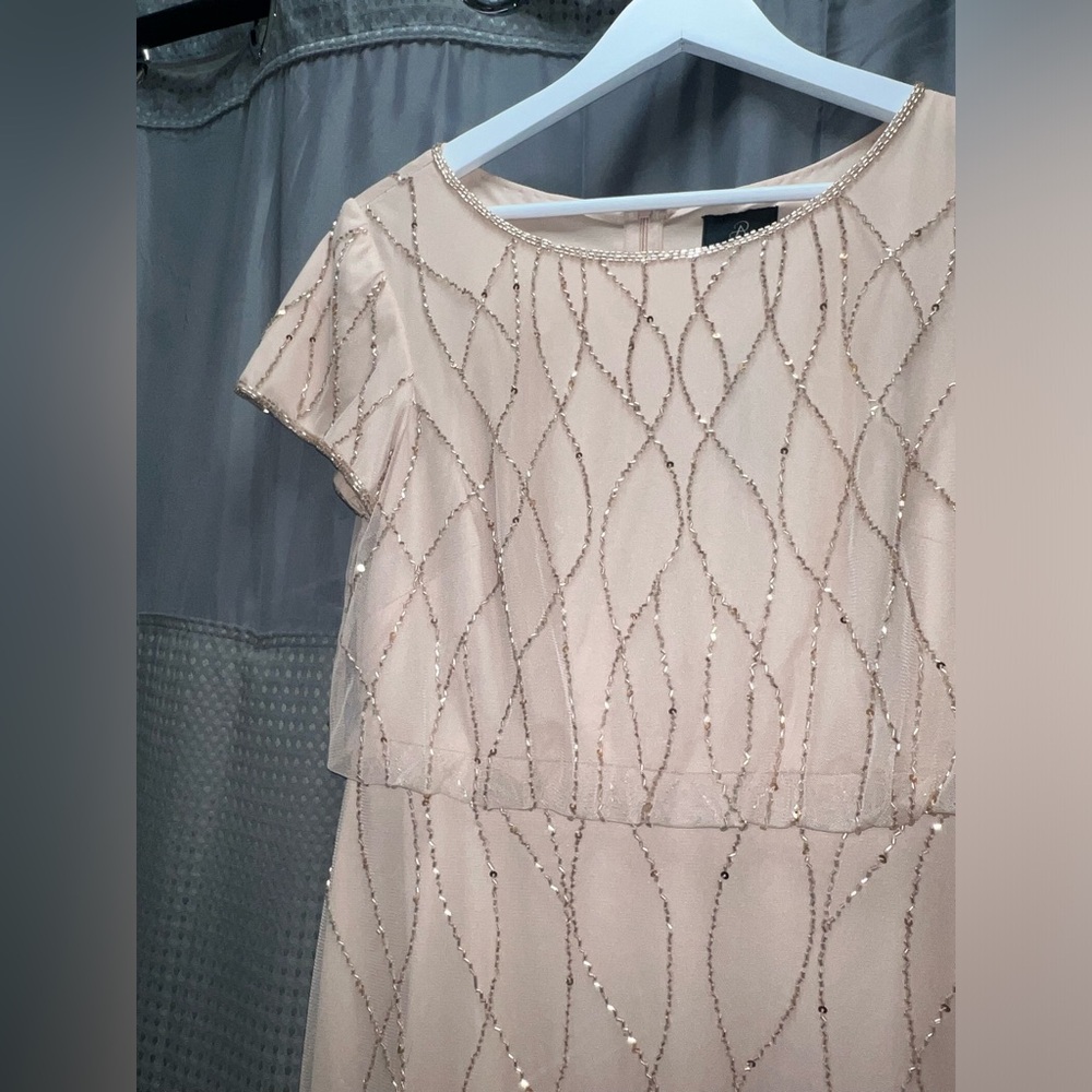 Adrianna Papell Blush Pink Gown - Picture 9 of 15